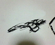 ファイル 479-5.jpg