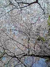 ãƒ•ã‚¡ã‚¤ãƒ« 492-1.jpg