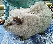 ãƒ•ã‚¡ã‚¤ãƒ« 526-2.jpg