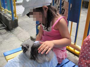 ãƒ¢ã‚¸ãƒ£ã¨å™´æ°´ã¨å†·ãŸã„ã†ã©ã‚“