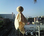 ファイル 665-1.jpg