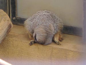 ãƒ•ã‚¡ã‚¤ãƒ« 674-5.jpg