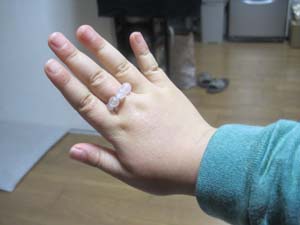 ãƒ•ã‚¡ã‚¤ãƒ« 737-4.jpg