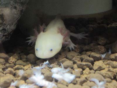 ãƒ•ã‚¡ã‚¤ãƒ« 761-2.jpg