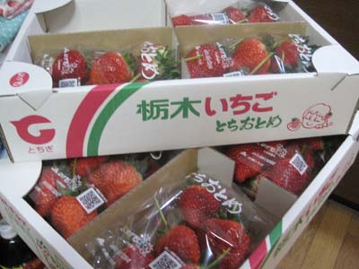 ファイル 788-1.jpg