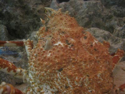 ファイル 794-1.jpg