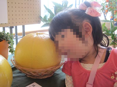 ファイル 794-3.jpg