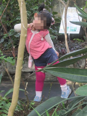 ãƒ•ã‚¡ã‚¤ãƒ« 795-1.jpg