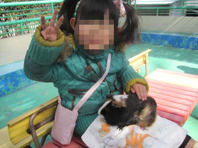 ファイル 800-1.jpg