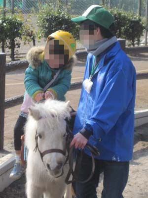 ファイル 800-3.jpg