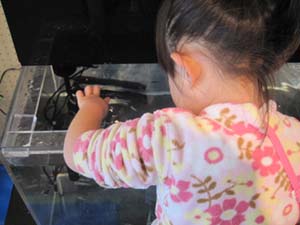 ファイル 826-1.jpg