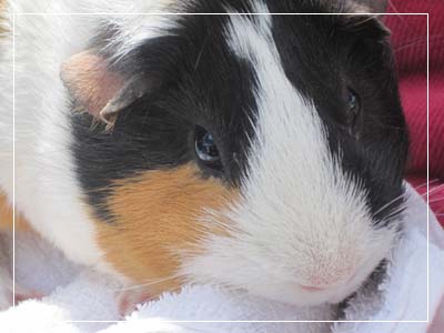 ファイル 845-1.jpg