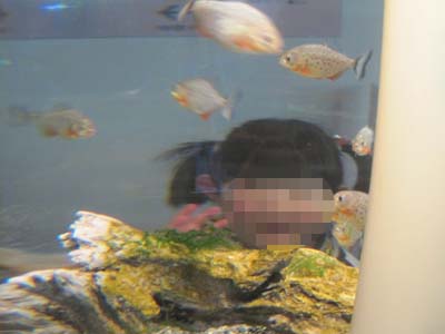 ファイル 851-1.jpg