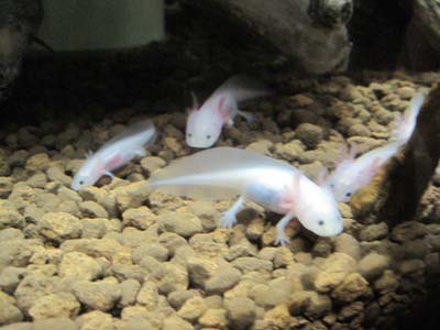 ファイル 851-2.jpg