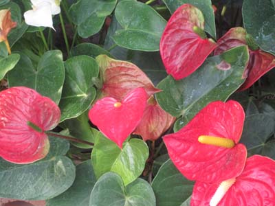 ファイル 851-3.jpg