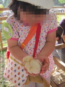 ãƒ•ã‚¡ã‚¤ãƒ« 866-3.jpg