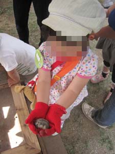 ãƒ•ã‚¡ã‚¤ãƒ« 866-4.jpg