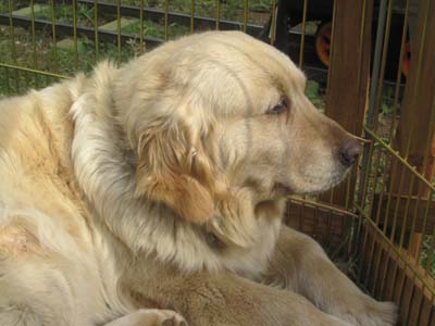 ãƒ•ã‚¡ã‚¤ãƒ« 869-1.jpg