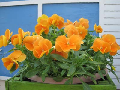 ãƒ•ã‚¡ã‚¤ãƒ« 880-1.jpg