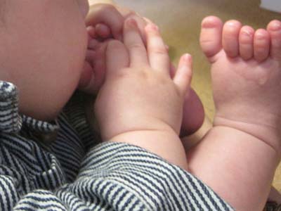 ãƒ•ã‚¡ã‚¤ãƒ« 885-1.jpg