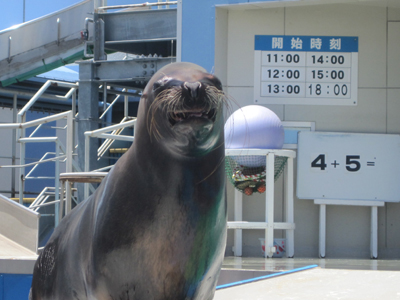 ãƒ•ã‚¡ã‚¤ãƒ« 926-4.jpg