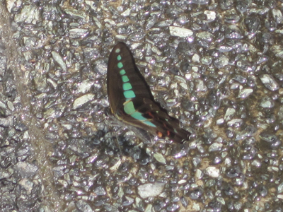 ãƒ•ã‚¡ã‚¤ãƒ« 936-2.jpg