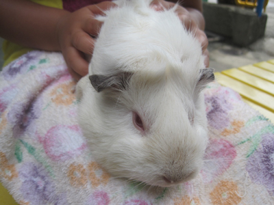 ファイル 943-2.jpg