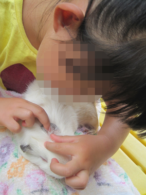 ファイル 943-3.jpg