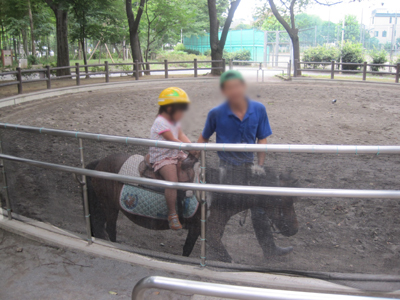 ファイル 947-1.jpg