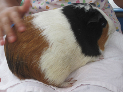 ファイル 947-2.jpg