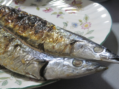 ç§‹åˆ€é­šã¯ç›®é»’ã«é™ã‚‹