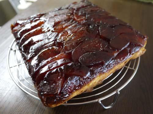 406896_388552461219280_1514695522_n