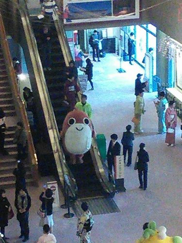 10178100_781899328551256_5693842968317194217_n